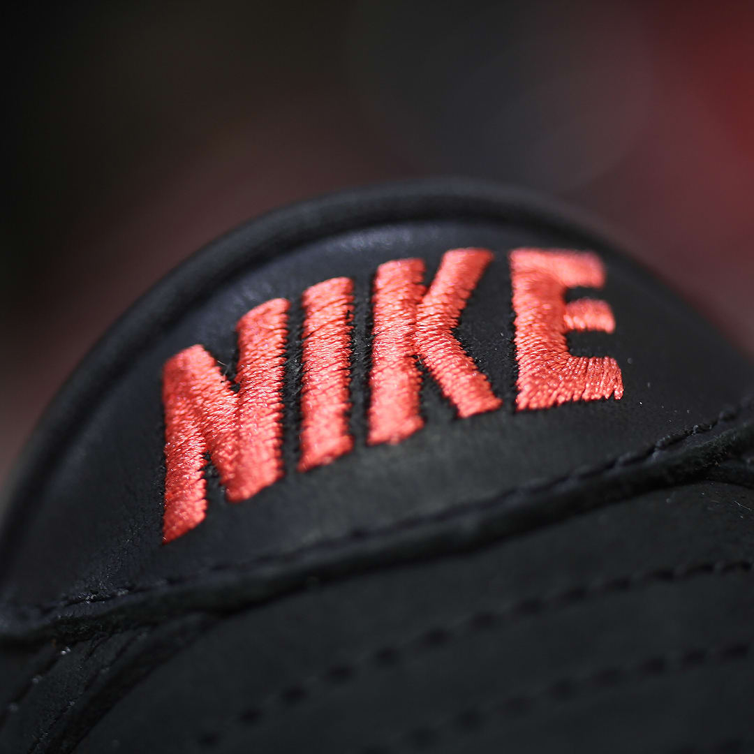 Nike SB Dunk Low Black Pigeon Release Date 88323-008 (13)