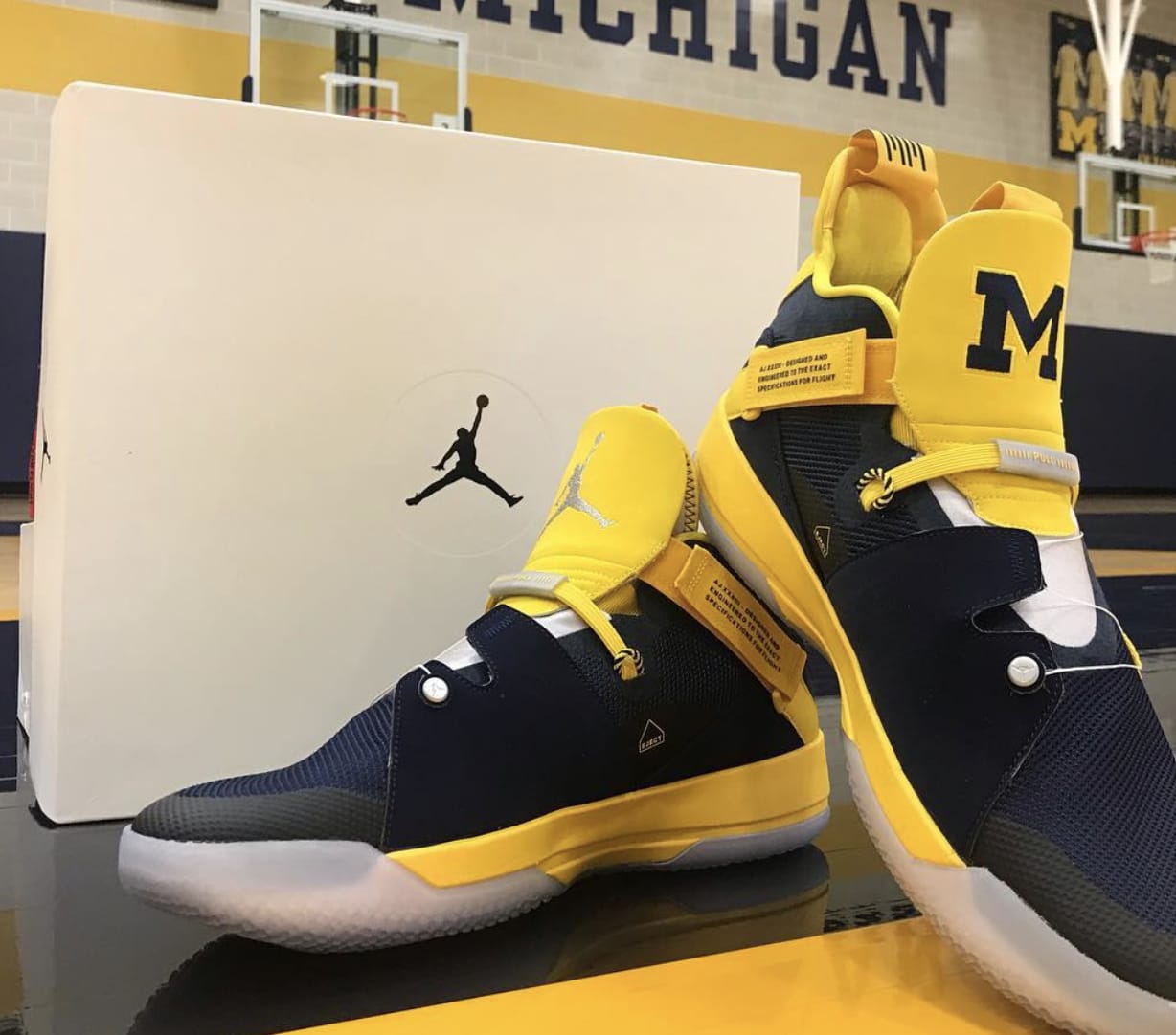 Air Jordan 33 &#x27;Michigan&#x27; PE 2