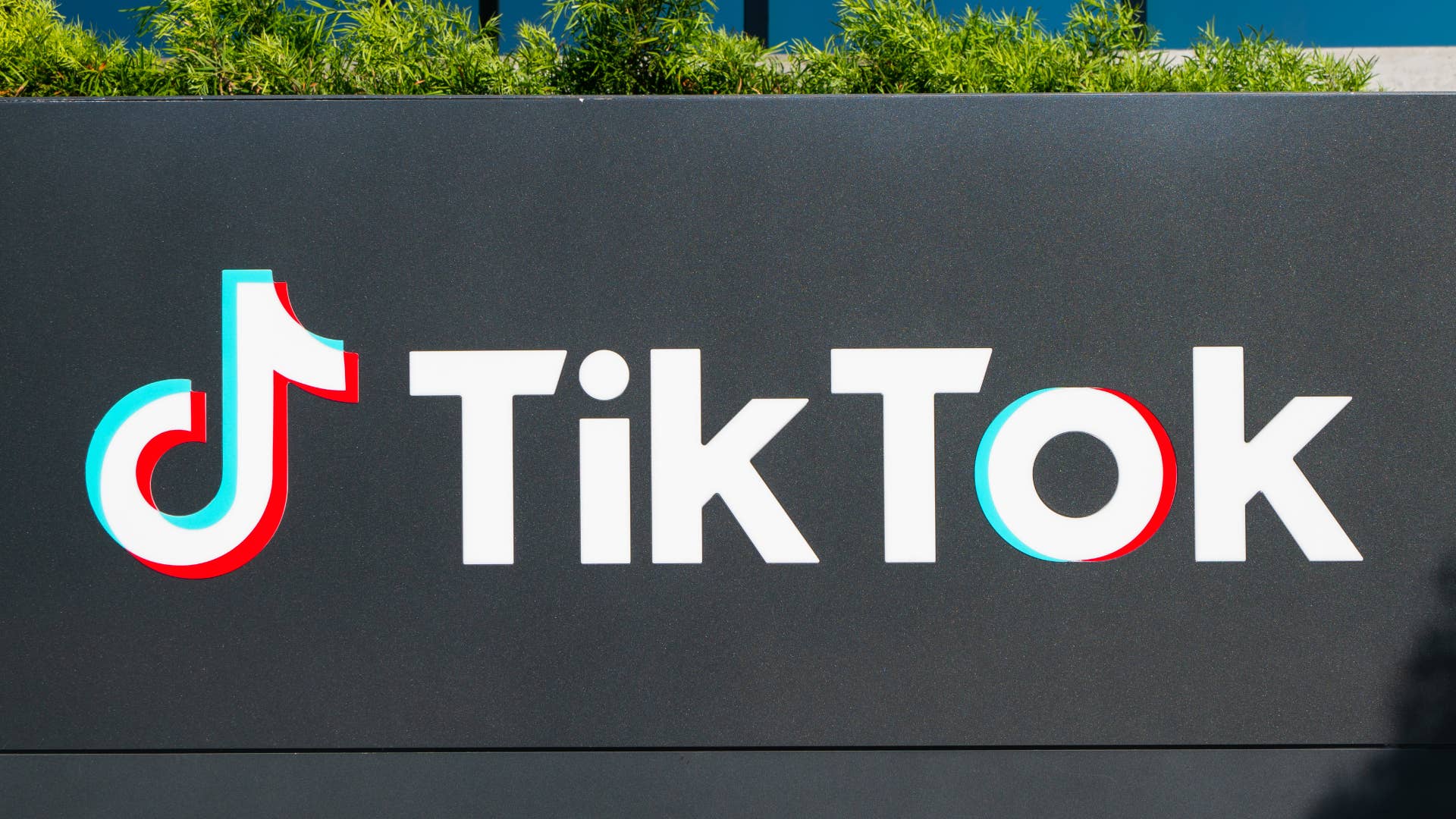 A logo for the TikTok platform is pictured