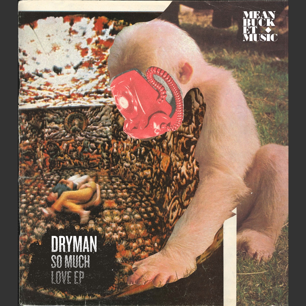 dryman cover