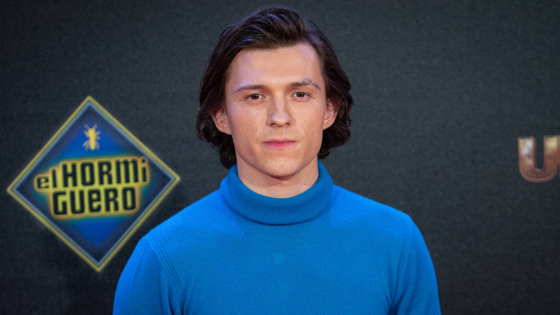 Tom Holland is pictured at a red carpet event