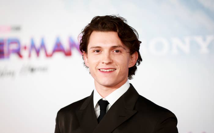 Tom Holland on red carpet at &#x27;Spider-Man: A Return Home&#x27; premiere