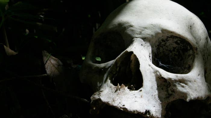 A skull is seen at a village cemetery in Kuban.