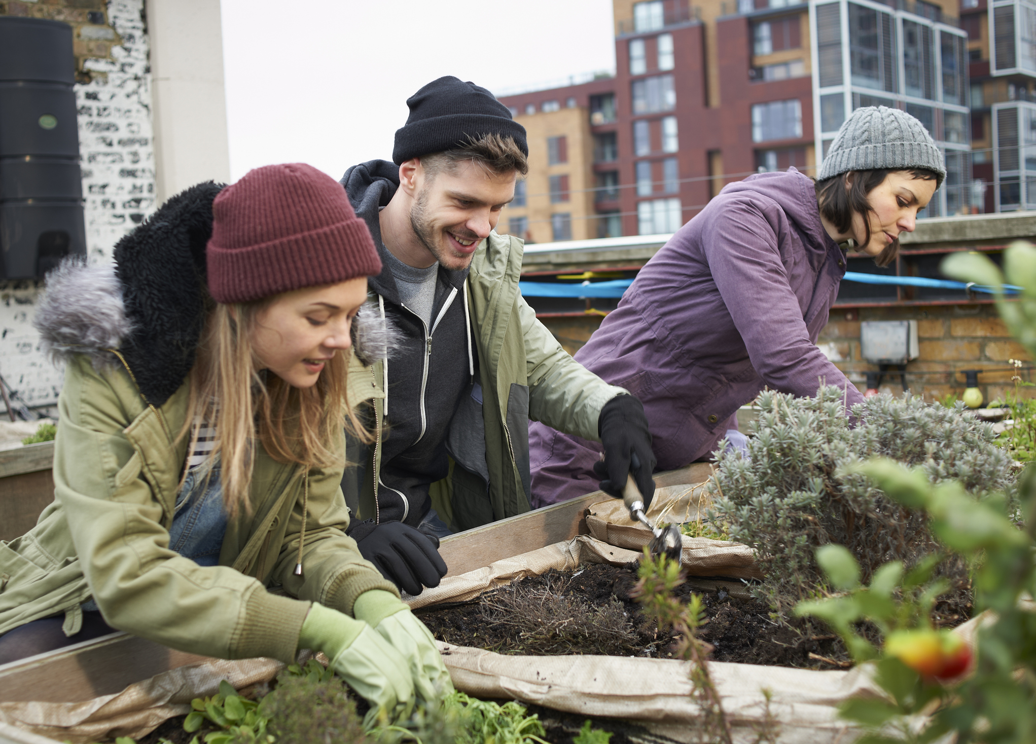 Young people gardening