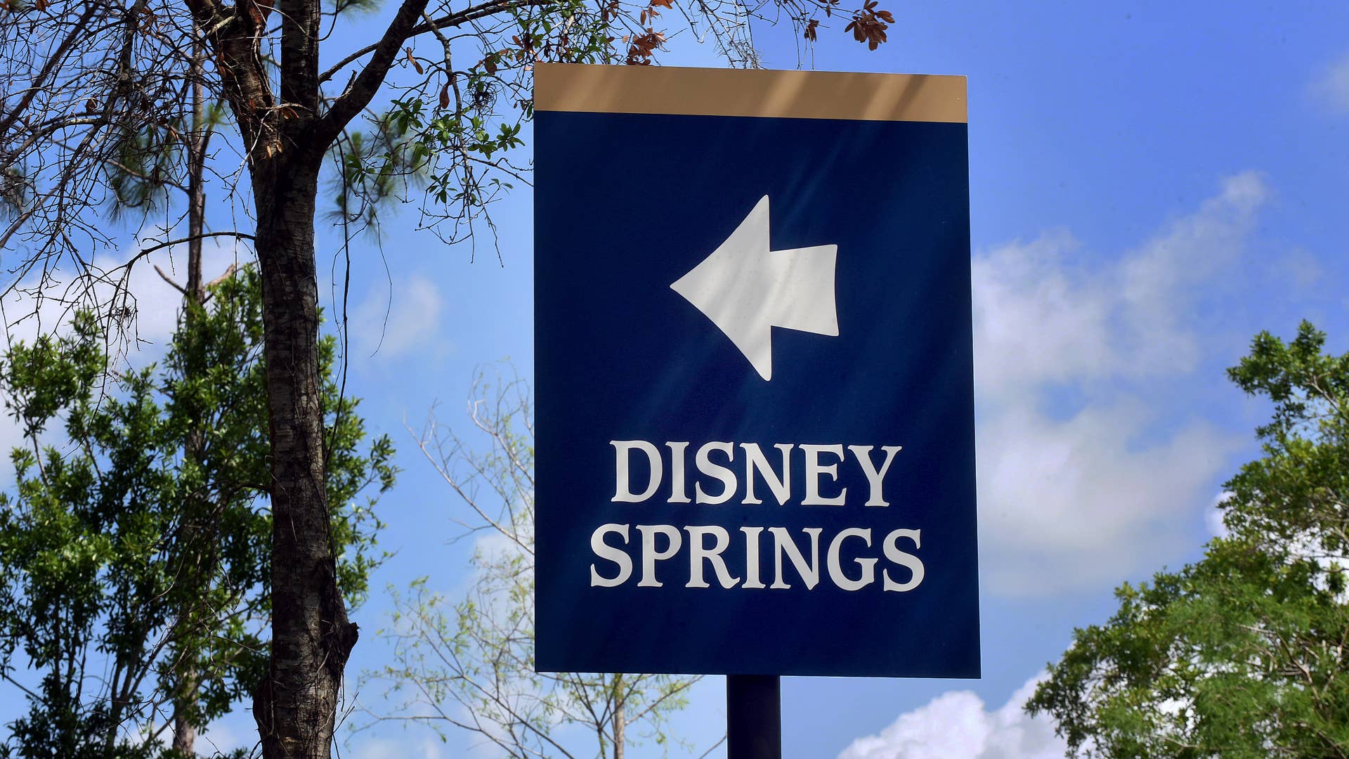 A sign directing visitors to Disney Springs at Walt Disney World.