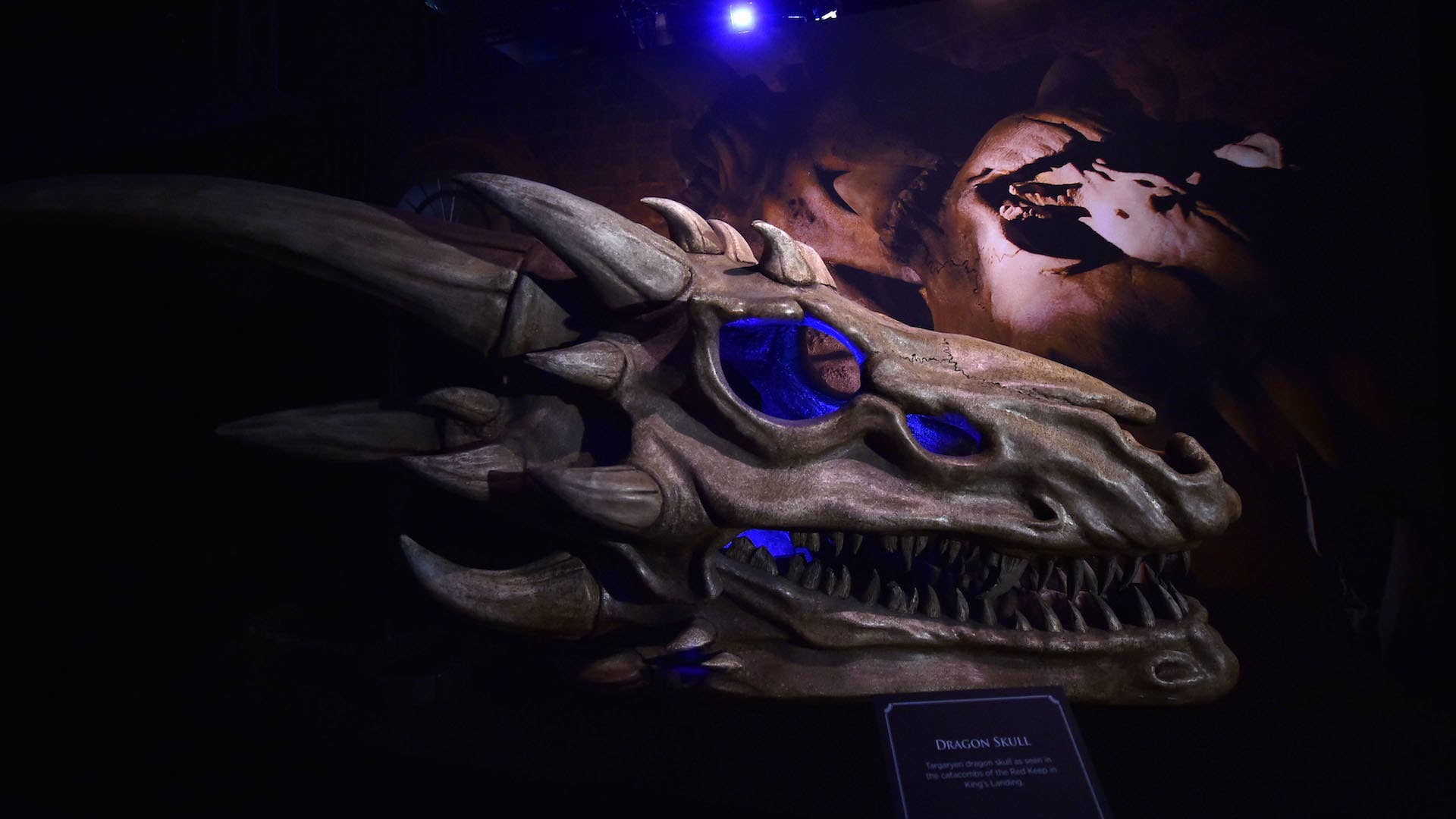 Dragon skulls on display at the Game Of Thrones: The Touring Exhibition.