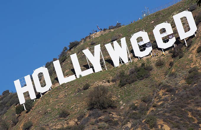 This is a photo of Hollyweed.