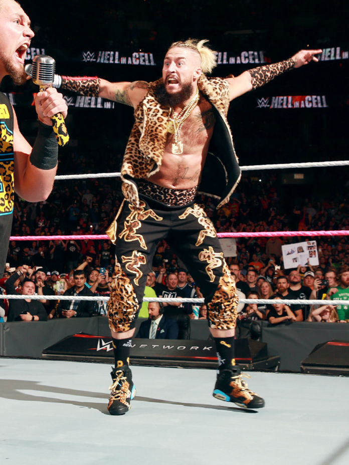 Enzo Amore Wearing a Cheetah Air Jordan 6 Custom by Mache