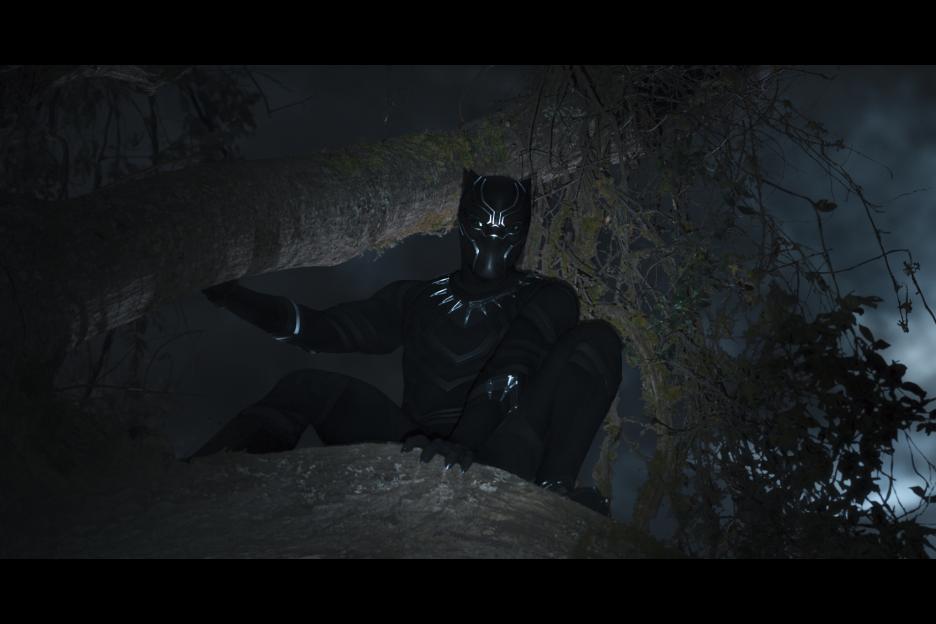 The Black Panther is in a tree