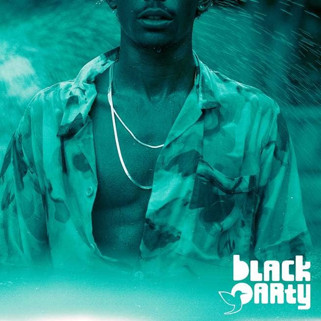 Cover Art for Black Party Birds & Bees