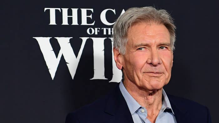 Harrison Ford arrives for Disney&#x27;s &quot;The Call of the Wild&quot; premiere.