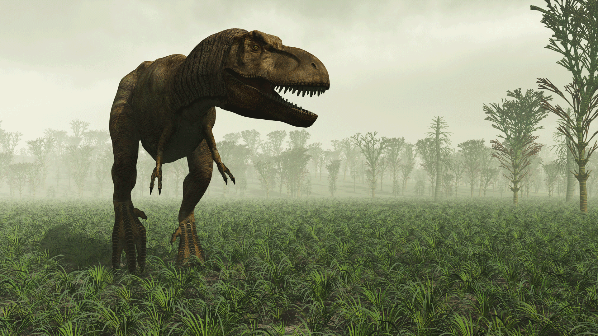 Meet T-Rex's older cousin: Canada's Reaper of Death