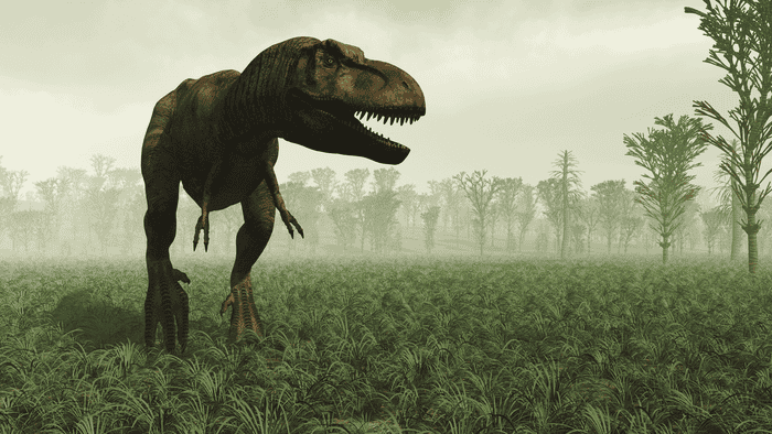 A T Rex on the prowl.