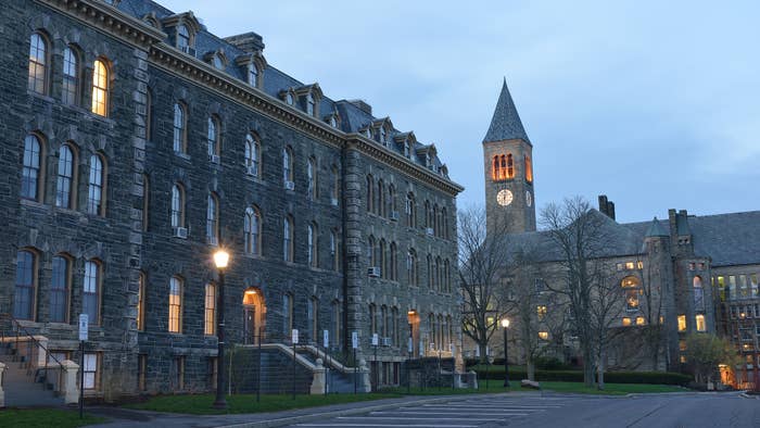 Campus of Cornell University at dawn, Ithaca, New York, USA