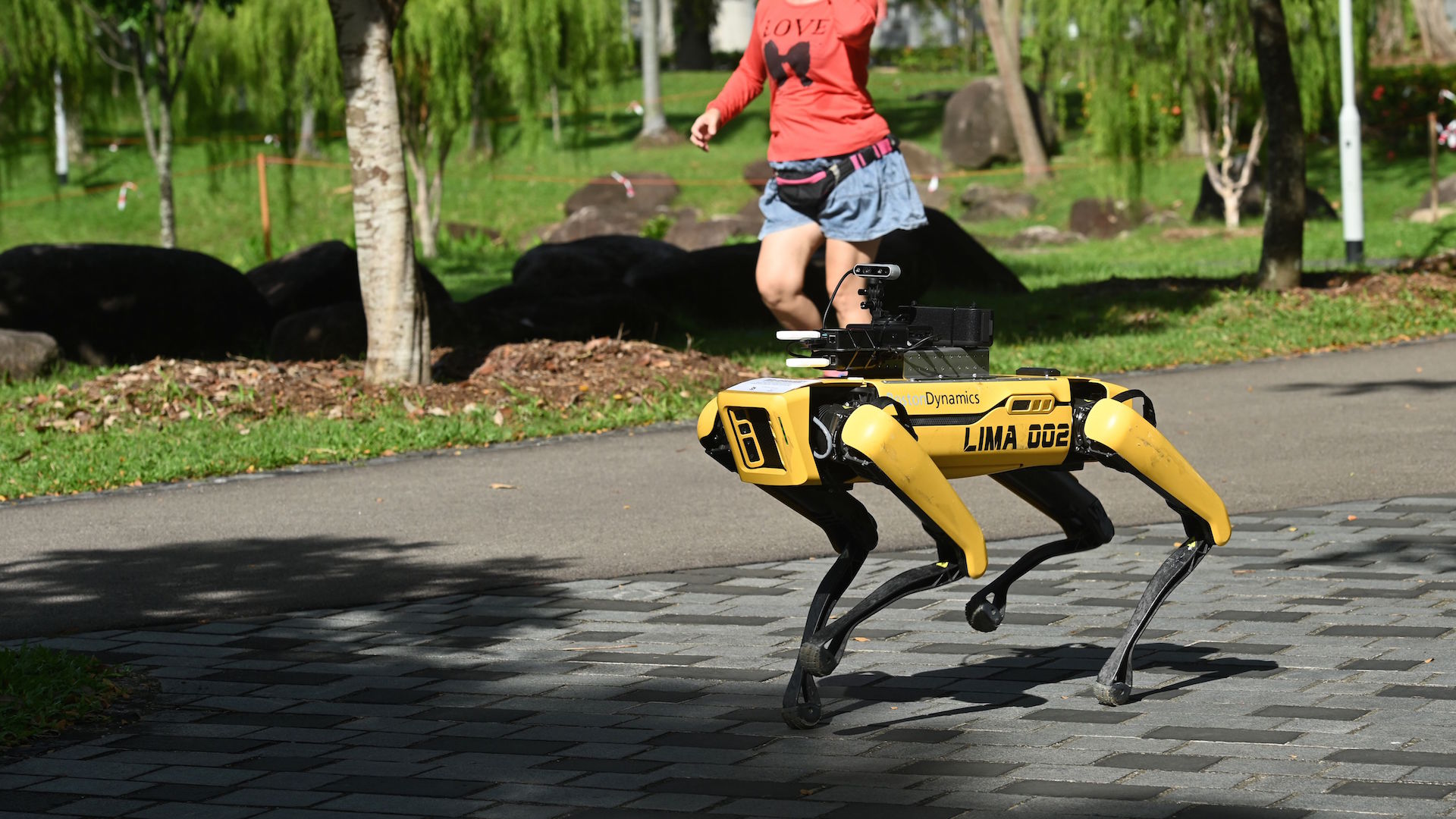 robodogs