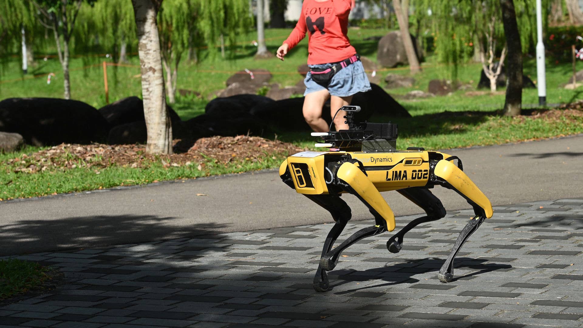 Woman jogs past a four legged robot called Spot