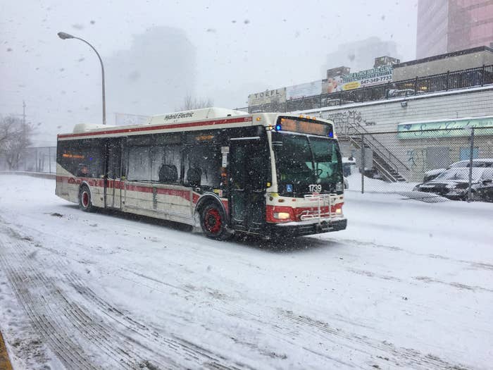 Massive snowstorm hit Toronto, Ontario, Canada, on January 28, 2019