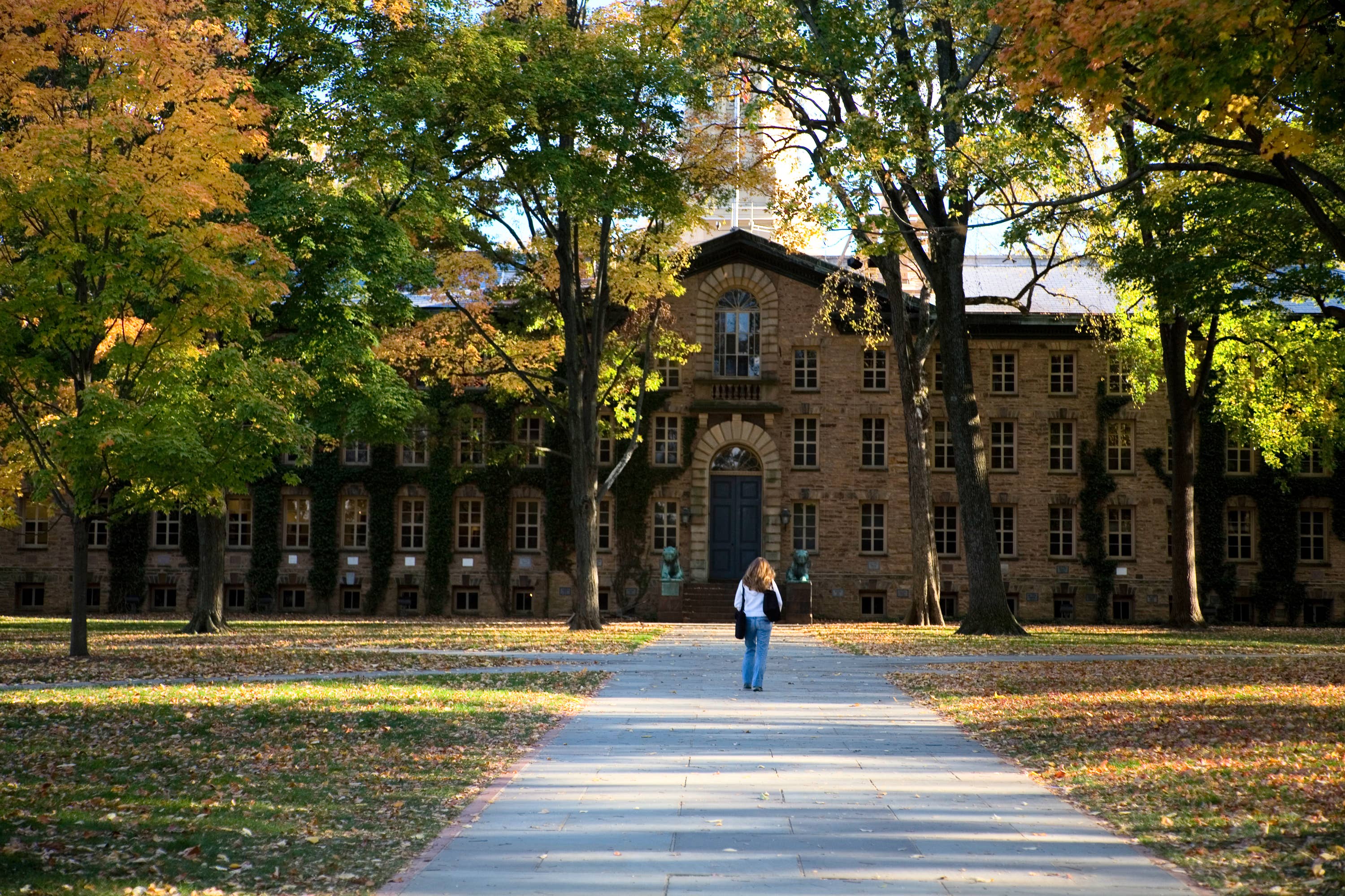 Colleges ranking. Принстонский университет кампус. Принстон колледж. Кампус университета в Принстоне. Принстонский университет леса.
