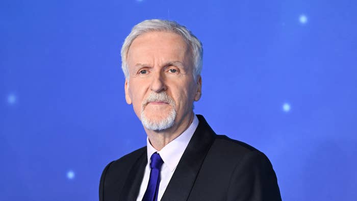 Director James Cameron attends the &quot;Avatar: The Way Of Water&quot;