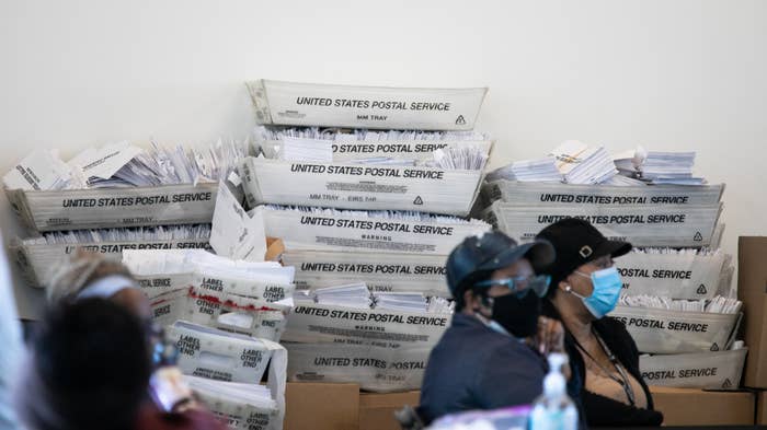 Georgia Election Workers