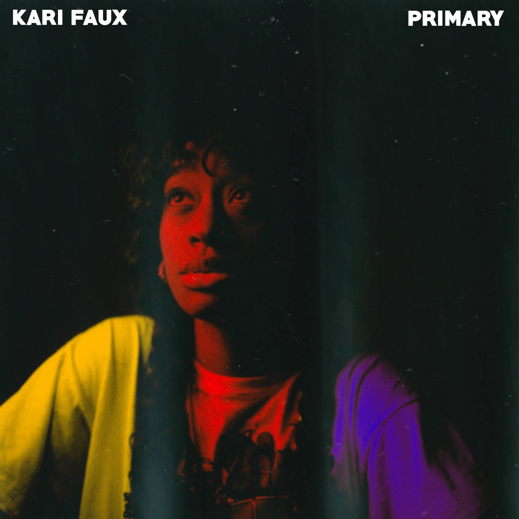 kari faux primary cover