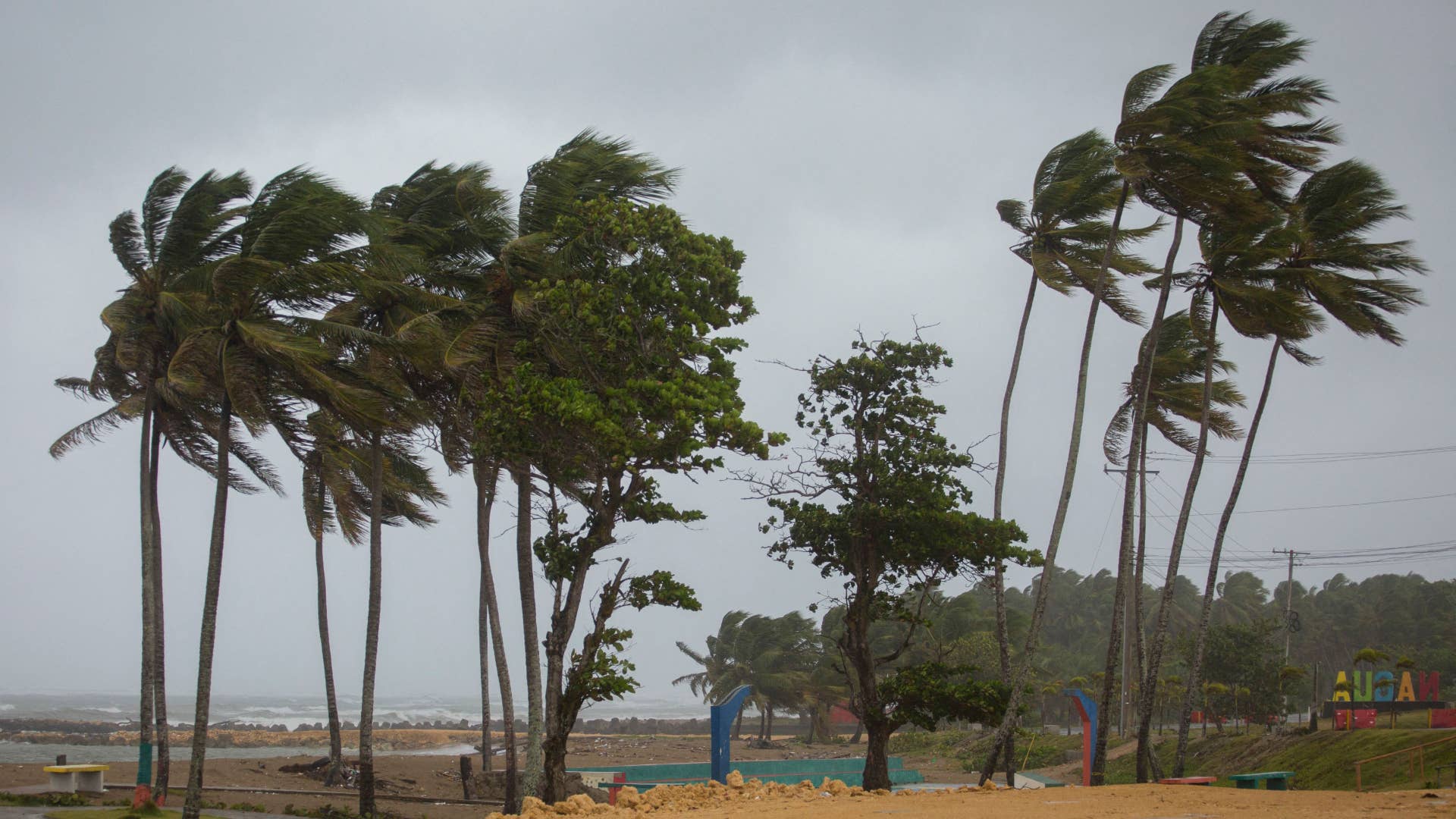 Hurricane Fiona is seen causing trees to bend