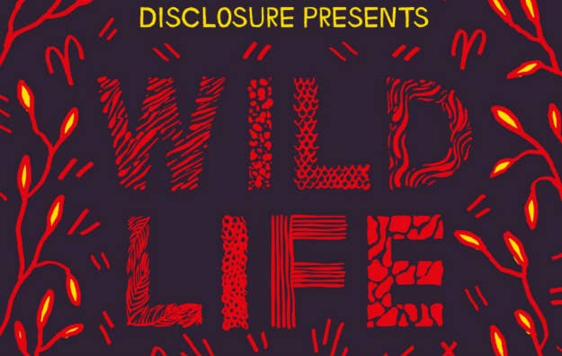 disclosure presents wild life
