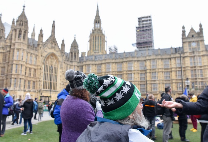 The U K Produces More Legal Weed Than Anyone On Earth Complex   Marijuana Weed Hat 