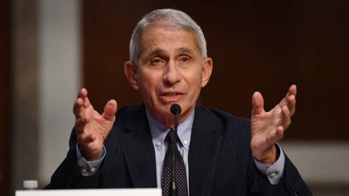 Dr. Anthony Fauci testifies before HELP Committee hearing.