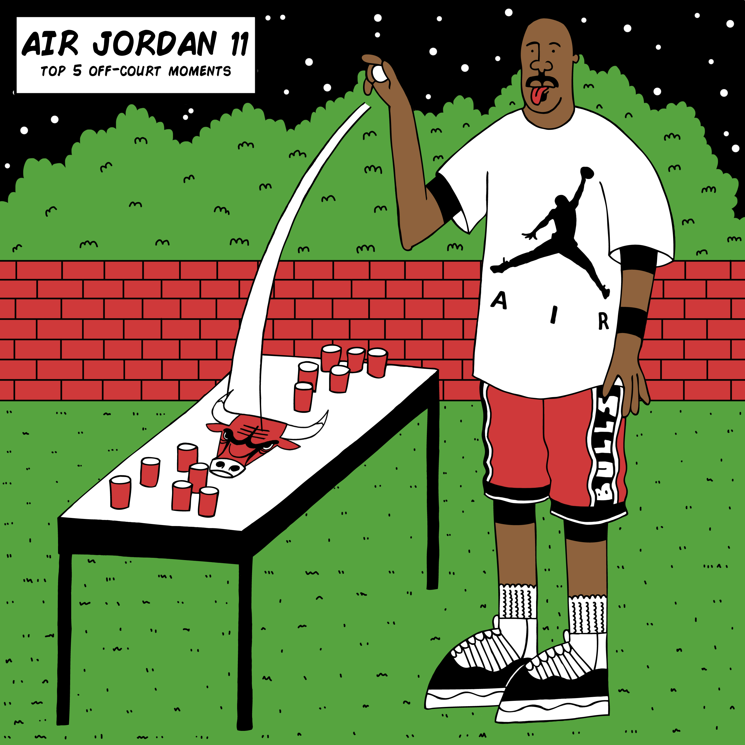 Beer Pong Air Jordan 11