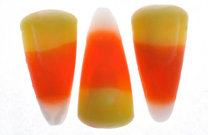 Halloween candy corn for an illustration about the anatomy of a sugar rush.