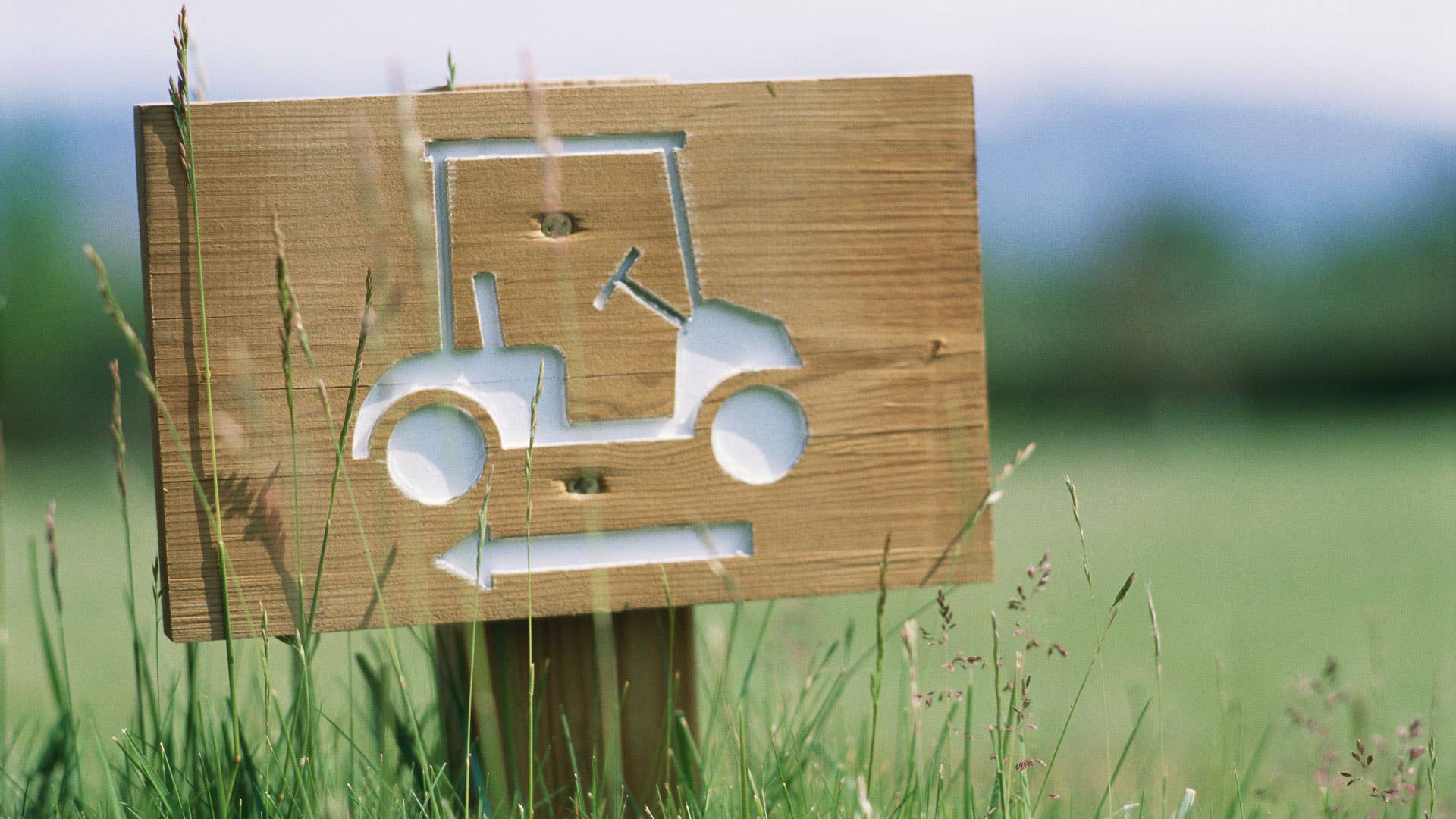 Golf cart sign.
