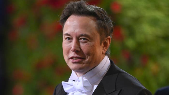 Elon Musk is pictured on red carpet