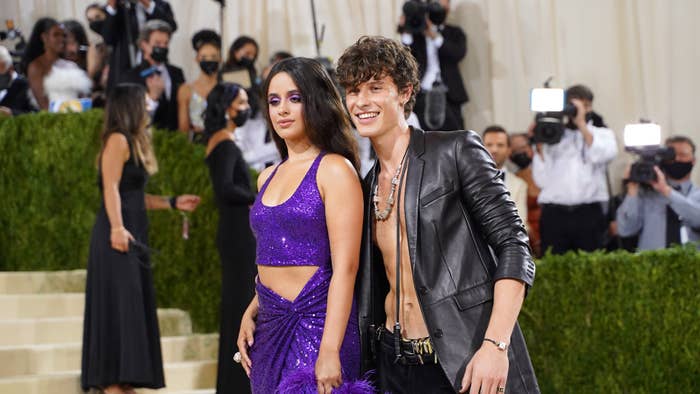 This is an image of Camilla Cabello on the right and Shawn Mendes on the left
