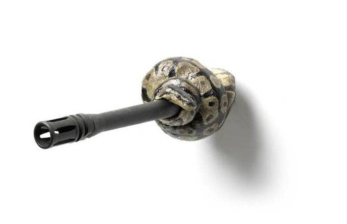 Snake Wrapped Rifle Muzzle Image