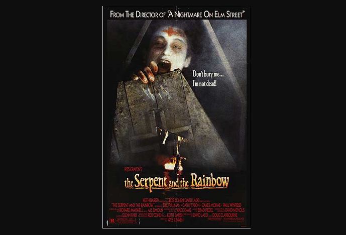 best zombie movies the serpent and the rainbow