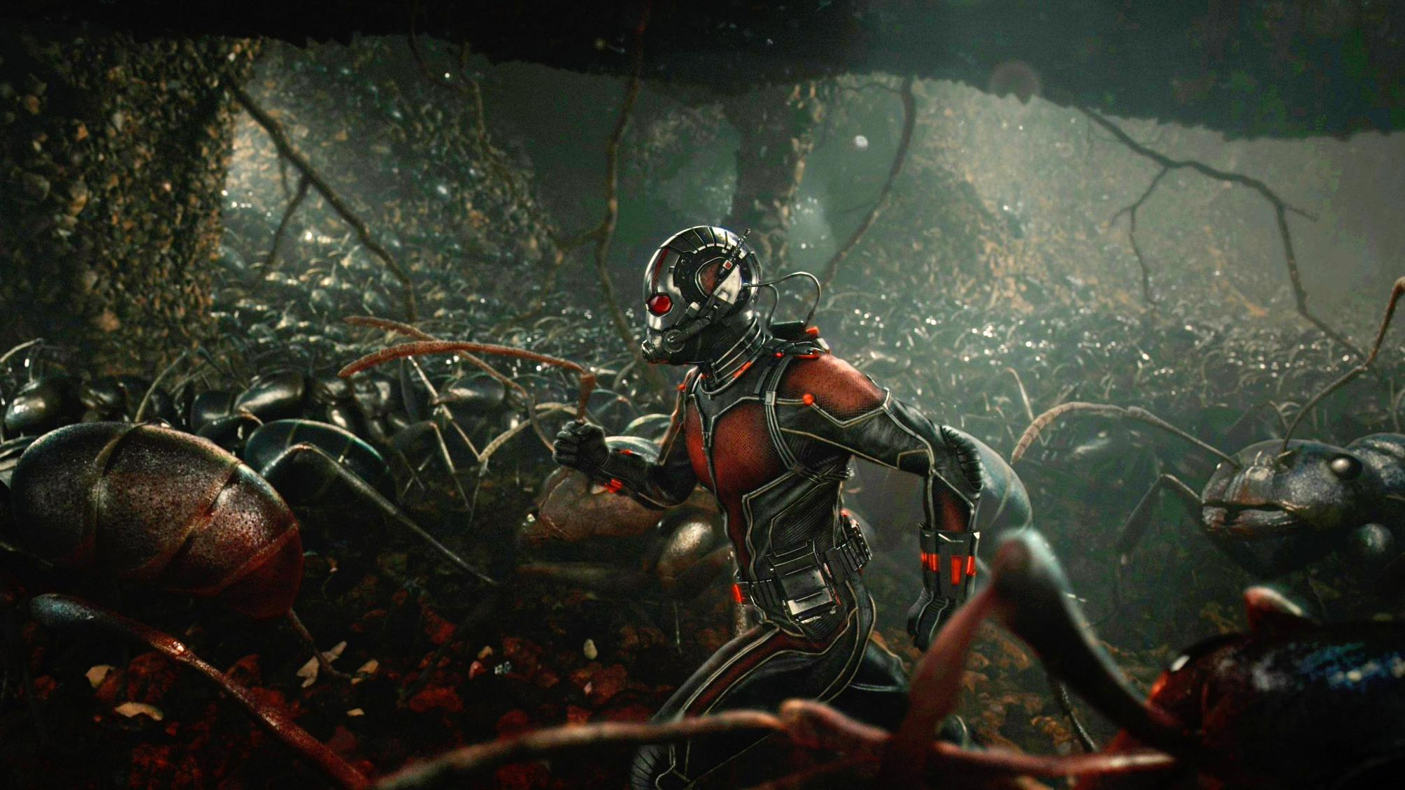 &#x27;Ant Man&#x27;