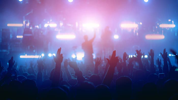 Shot of a crowd at a festival performance