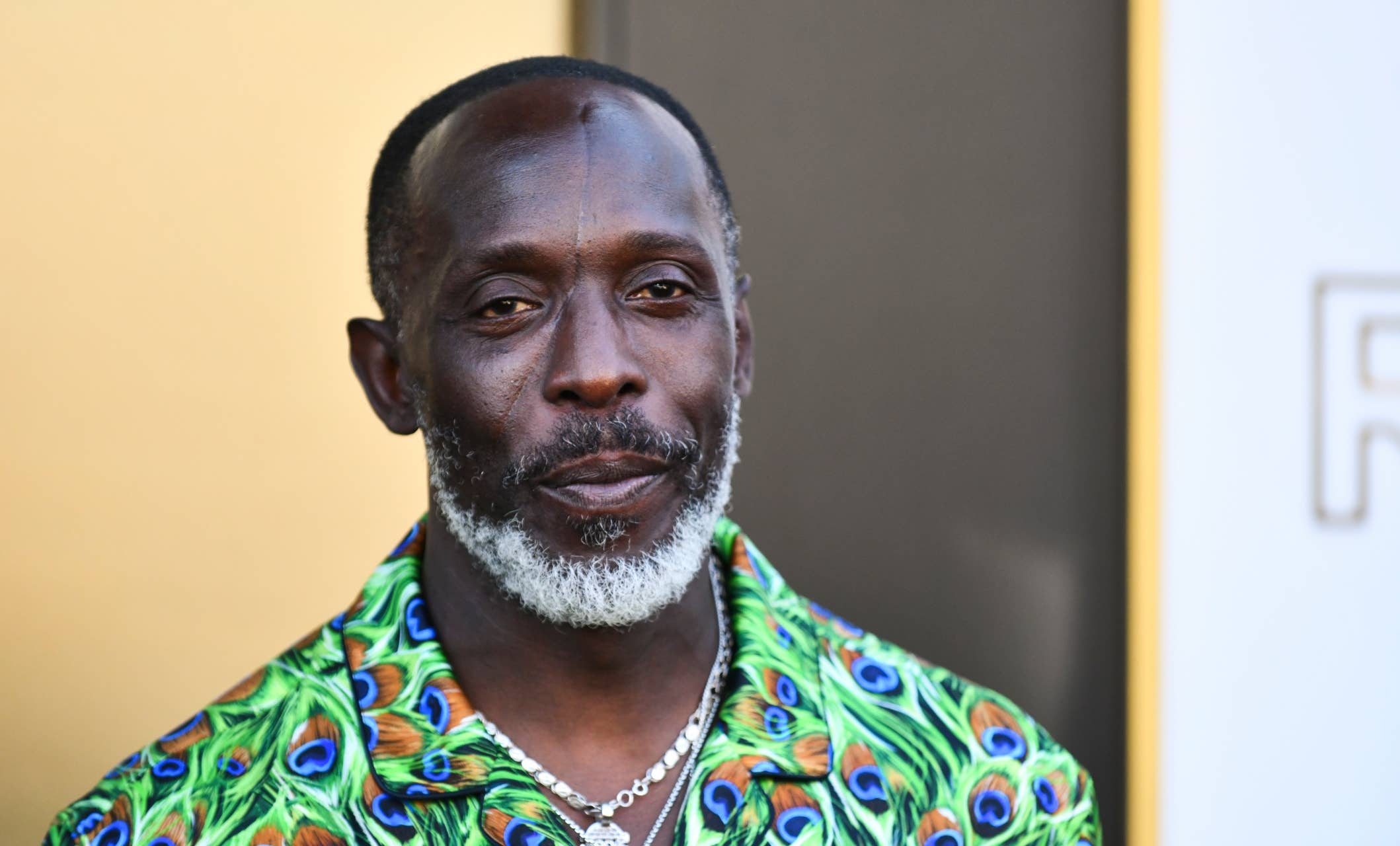 michael k williams suspects arrested