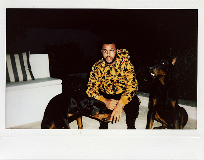 The weeknd 2025 bape hoodie