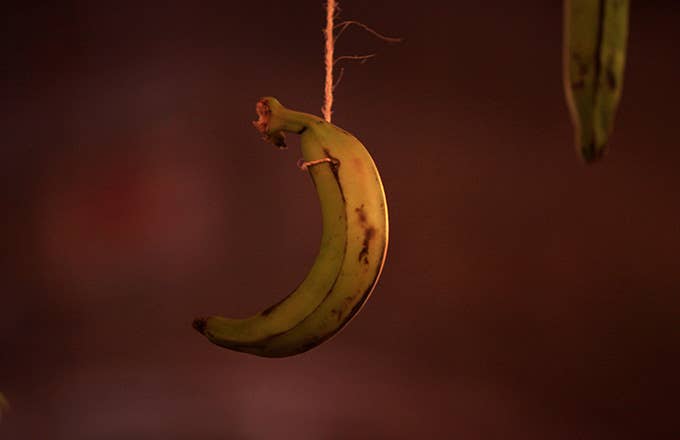 This is a photo of a banana.