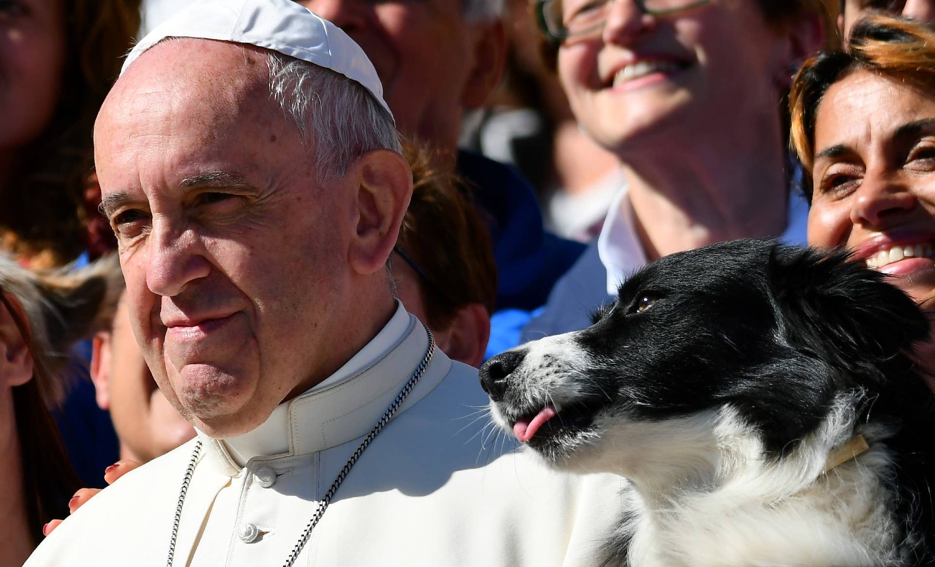 The Pope says thing about animals