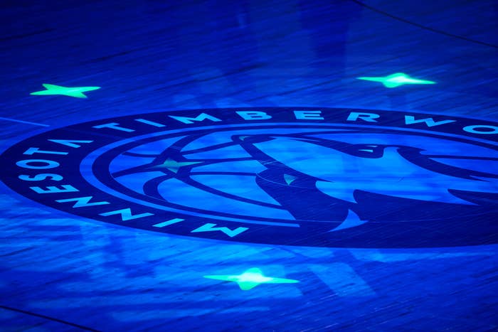 Timberwolves-Logo-Arena-Closeup