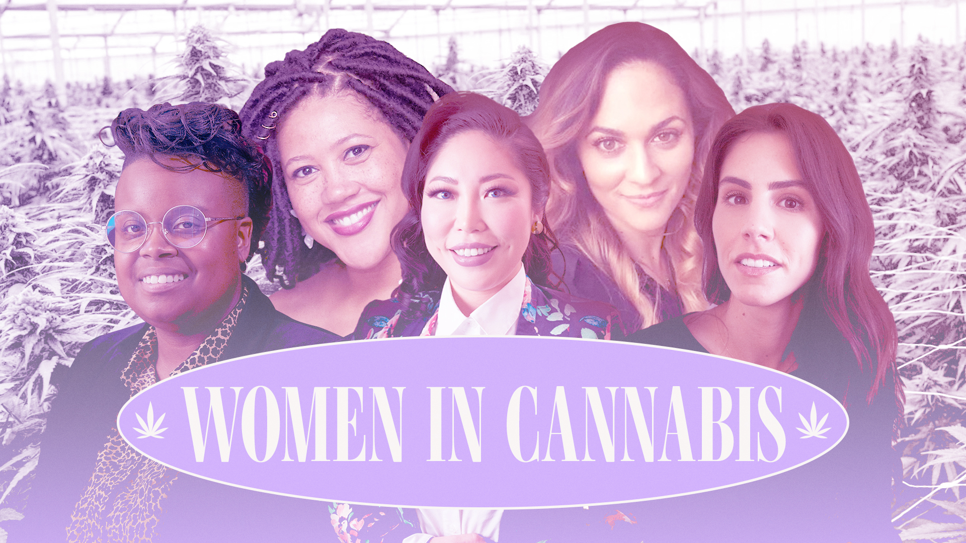 5 Women In Cannabis Share How To Break Into The Legal Weed Industry ...