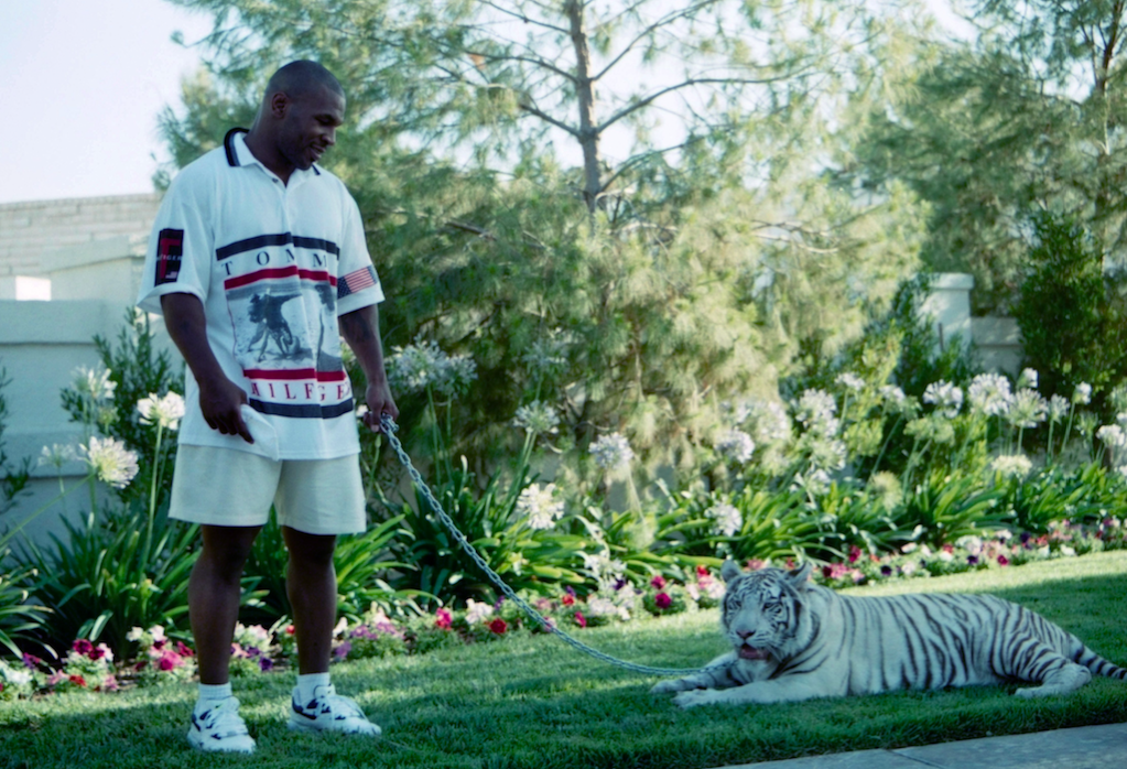 didnt know mike tyson bengal tigers