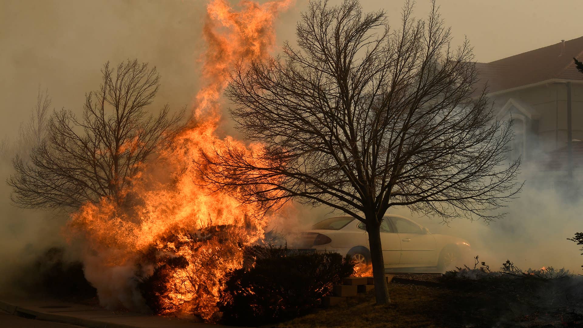 Fire burns in bushes near a La Quinta hotel on December 30, 2021 in Louisville, Colorado