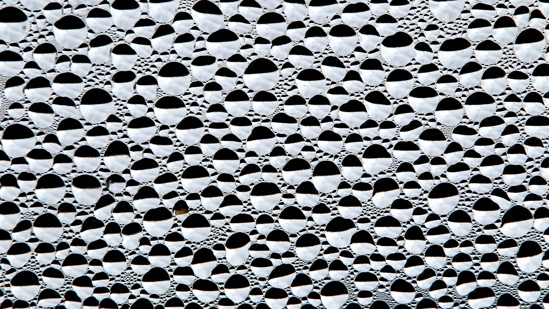 Condensation droplets are seen on a window on January 16, 2014 in Irsee, Germany.