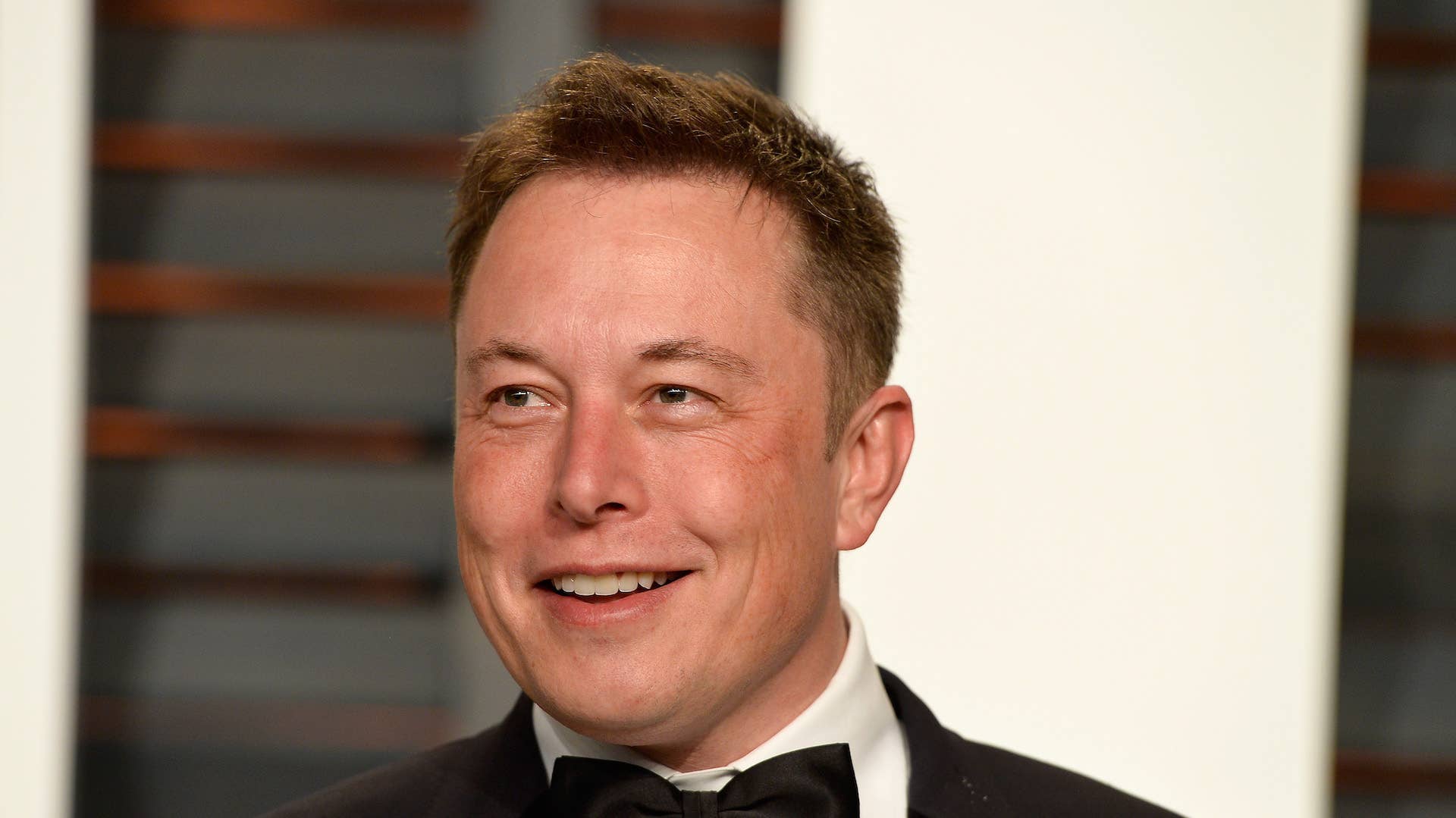 This is an image of Elon Musk