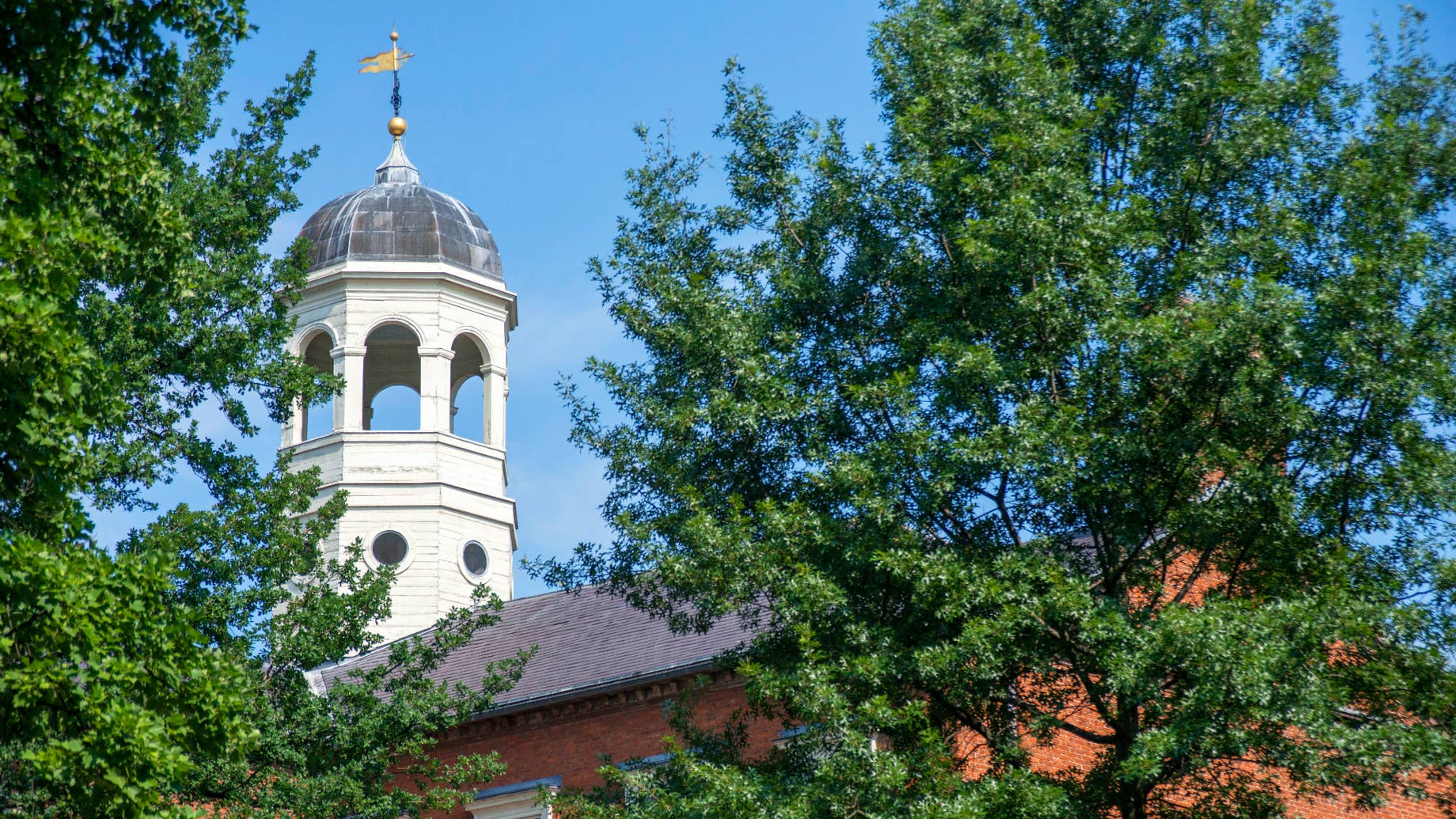 Massachusetts Court Says Harvard Must Face Slave Photos Lawsuit Complex