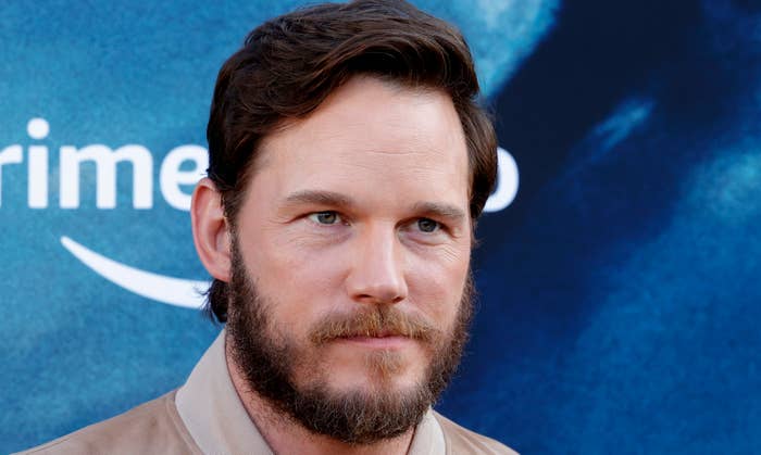 Chris Pratt on red carpet for movie premiere 2021